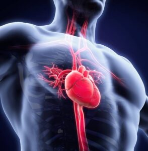 Types of Heart Rhythm Problems