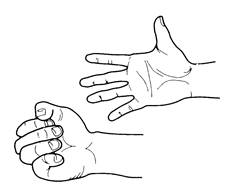 Fist Clench and Release